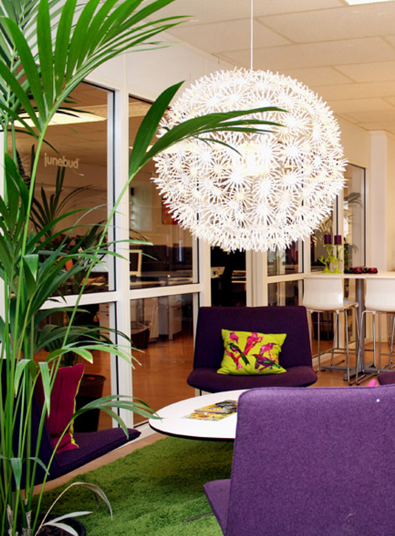 office-intro-image